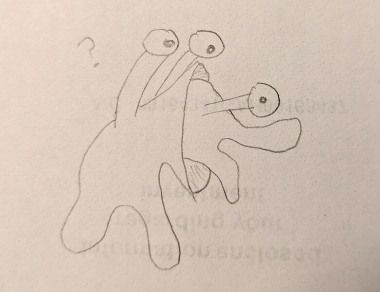 File:Tubershuckle Accident.jpg