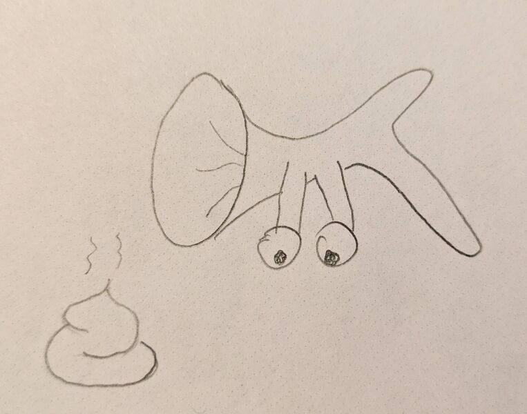 File:Tubershuckle Hunting.jpg